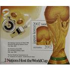 Футбол ЧМ Япония - Корея 2002 г. Гайана  MNH