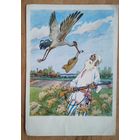 Волкаў А. Iлюстрацыя да казкi "З рога ўсяго многа. (Волков А. Иллюстрация к сказке" Из рога - всего много). БССР. 1959 г.