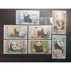 Монголия. Фауна. Медведи. Панды (490)