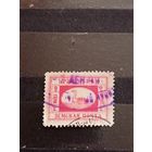 1899 Россия земская почта Уржумский уезд Чучин 5 хорошая сохранность фауна птица лебедь (4-15)