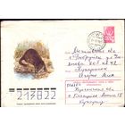 1978 год ХМК С.Куприянов Выдра 78-636