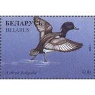 Беларусь 1996 фауна утки