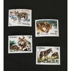 Польша 1985 г. Волки. WWF Охраняемые животные, полная серия из 4 марок #0215-Ф1P41