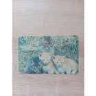 Календарик 1992