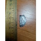 Монета дирхема