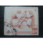 Босния и Герцеговина, 2006. Чеснок