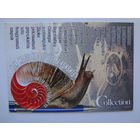 Календарик 1999 г. Как мало надо, чтобы удивить.