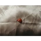 Янтарь с рубля