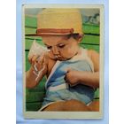 Мороженое. Фото Бородулина