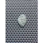 Чешуйка с рубля!