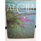 Фотоальбом "Десна"