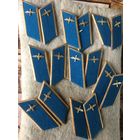 Парадные  петлицы офицера  ВВС СССР! цена  за 1 пару.