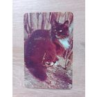 Календарик 1992