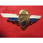 Нагрудный знак ВДВ