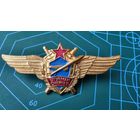 Знак "Штурман снайпер" СССР. Копия