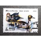 Марка СССР 1991 год Утки