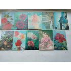 Стереооткрытки с голографическим эффектом. Флора_3. цена за 1 шт.