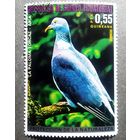 Марка Экваториальная Гвинея 1976 год Птицы