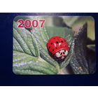 Календарик 2007 г.  Борисовская укрупненная типография. Божья коровка.