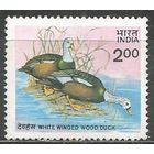 Индия. Белоголовая утка. 1985г. Mi#1021.