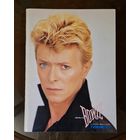 David Bowie тур бук