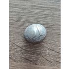 Пуговица 31 РИА