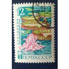 СССР 1966 Сухумский ботанический сад, цветы 1 из 3.