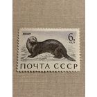 СССР 1971. Калан