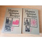 "Нарысы гісторыі Беларусі". М.П. Касцюк. И.М. Ігнаценка\045