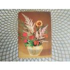 Открытка СССР 1982 год.   Чистая. Л.Круцко . Состояние на скане.