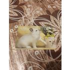 Календарик,кролик,2011