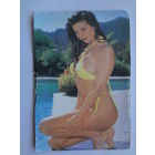 Календарик 1993 г.  DAGEON.