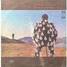 Pink Floyd (2LP) - Delicate Sound Of Thunder