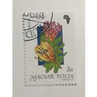 Венгрия 1990. Флора.