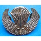 Знак или кокарда парашютиста .Страна не опознана.