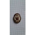 Значек ДОСАФ, ранний