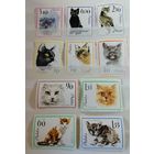 Польша 1964 Кошк