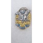 20 лет 334 отдельный отряд специального назначения 5 бригады спецназа Беларусь*