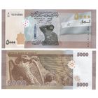 Сирия 5000 фунтов 2023 год UNC