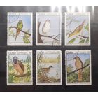 Куба. 1975 год. Фауна. Птицы (345)