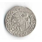 Полугрош 1562 Сигизмунд 2 Август