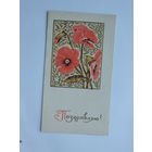 Пинская выпуклая поздровляю 1971   открытка БССР  9х15 см