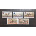 Малуку. Фауна (685)