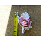 Роза . Энс . Ens