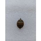 СОБР, фрачник на пимсе.