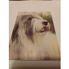 Календарик 1994г.