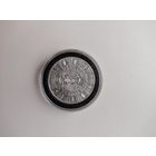 5 ЗЛОТЫХ ЛЕГИОНЕР