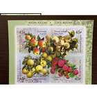 РОССИЯ 2019 2456-2459 Флора России Продолжение серии Сорта яблони ** КВАРТБЛОК С ПОЛЯМИ!!! Яблоки