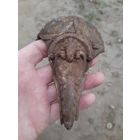 Лот с рубля