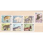 1978 Польша Варшавский Зоопарк фауна Животные\П1 146